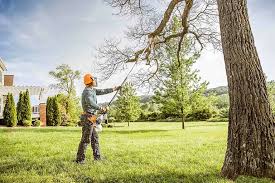 Best Storm Damage Tree Cleanup  in Pueblo, CO